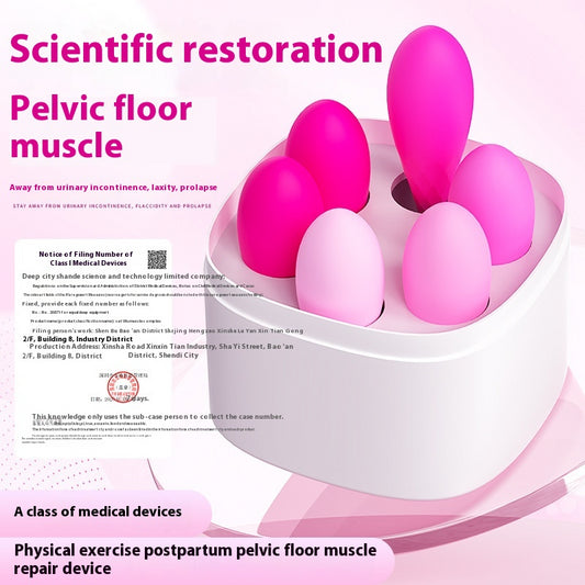 Postpartum Pelvic Floor Muscle Repair Six-piece Kegel Ball Women's Vaginal Dumbbell Trainer Sex Products Contraction Ball